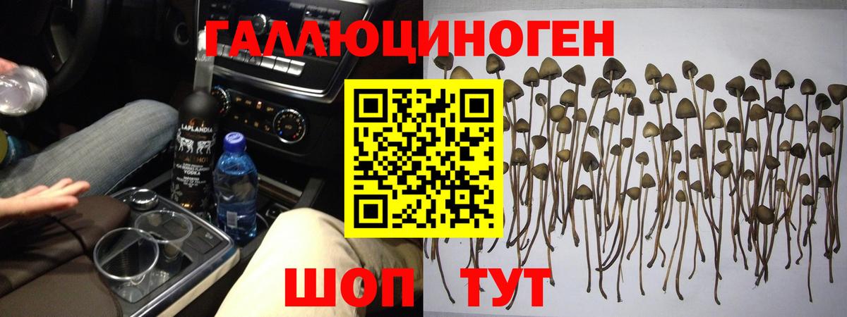 Псилоцибиновые грибы ЛСД  Вход с VPN  дарнет шоп  Галлюциногенные грибы MAGIC MUSHROOMS  Электросталь 