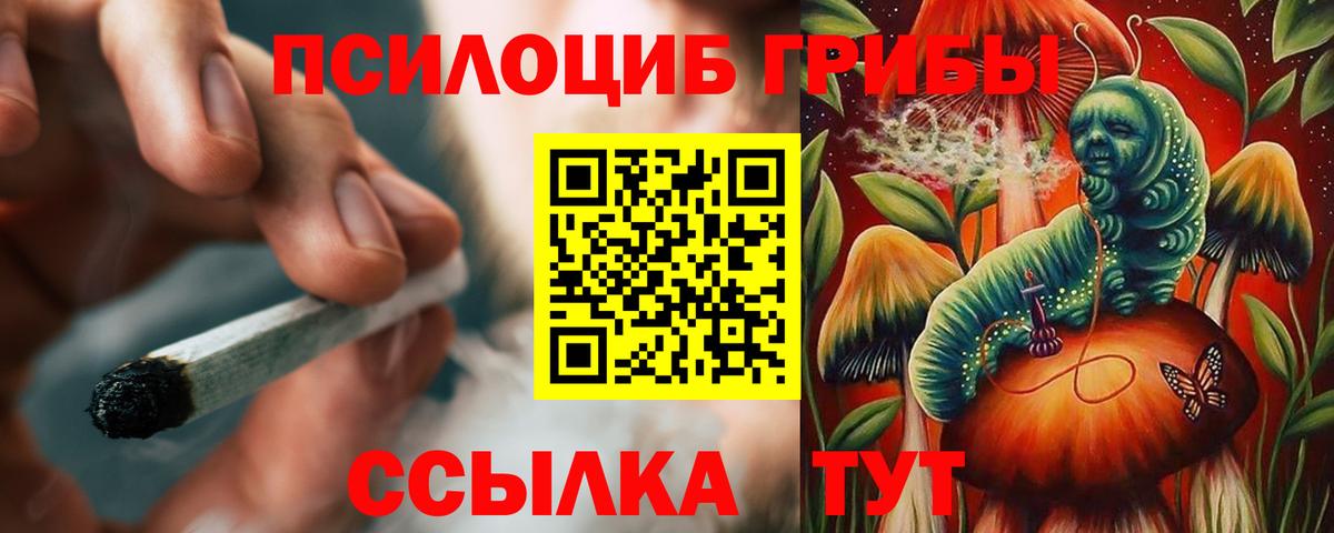 Галлюциногенные грибы Psilocybe Электросталь